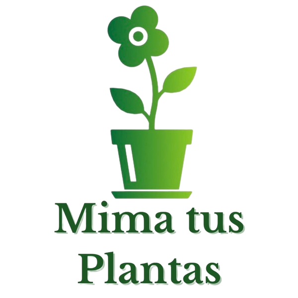 Macetero Grande Verde Oliva con Plato Incluido – Mima tus Plantas